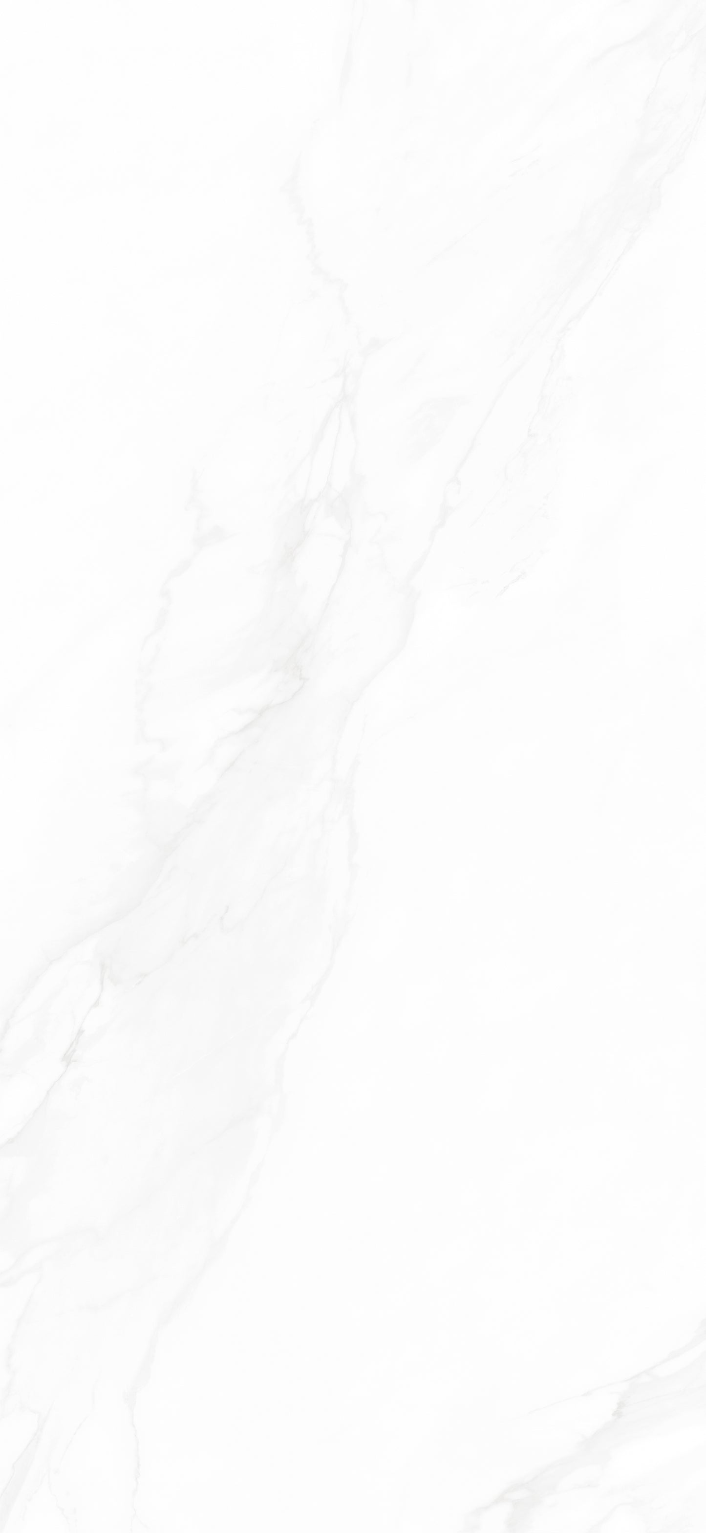 RD1356H01B
