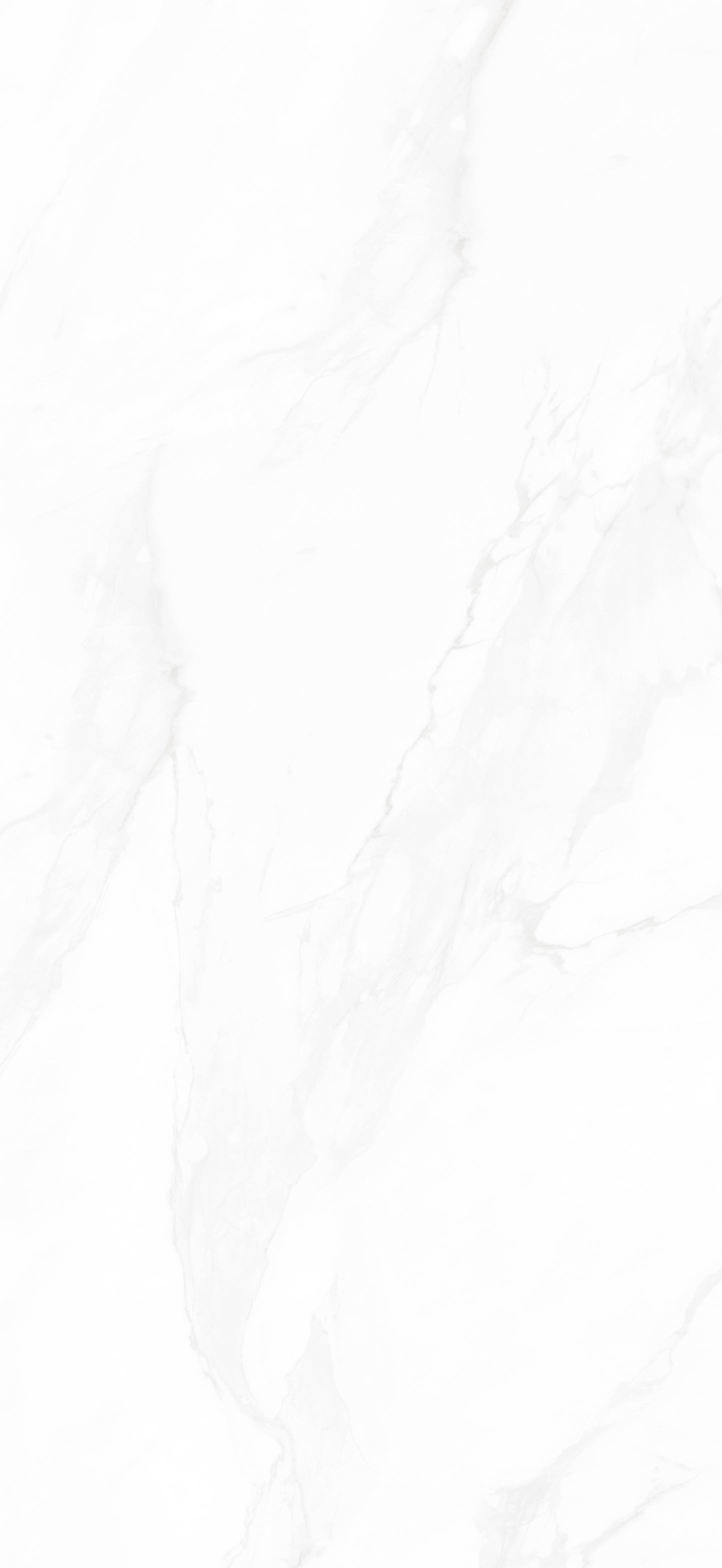 RD1356H01B