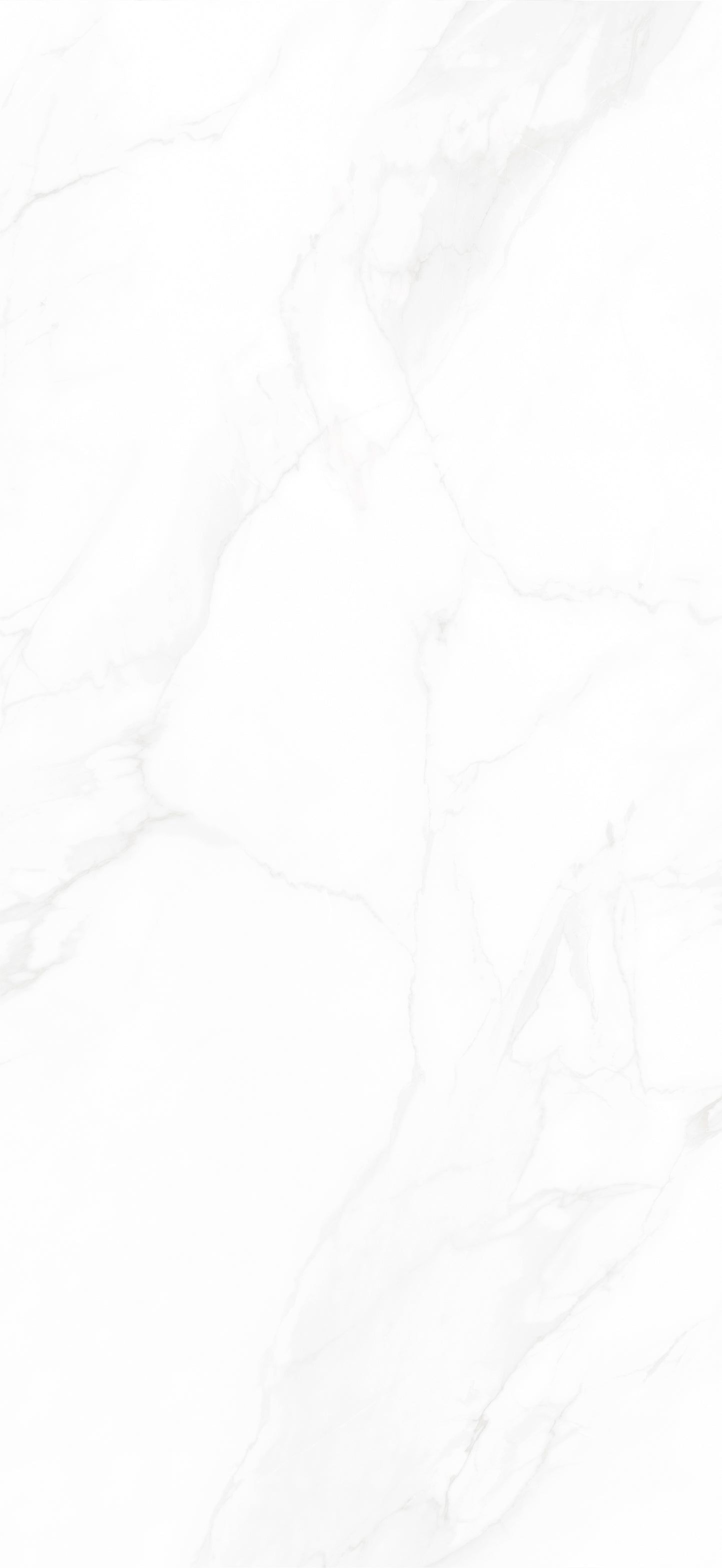 RD1356H01B